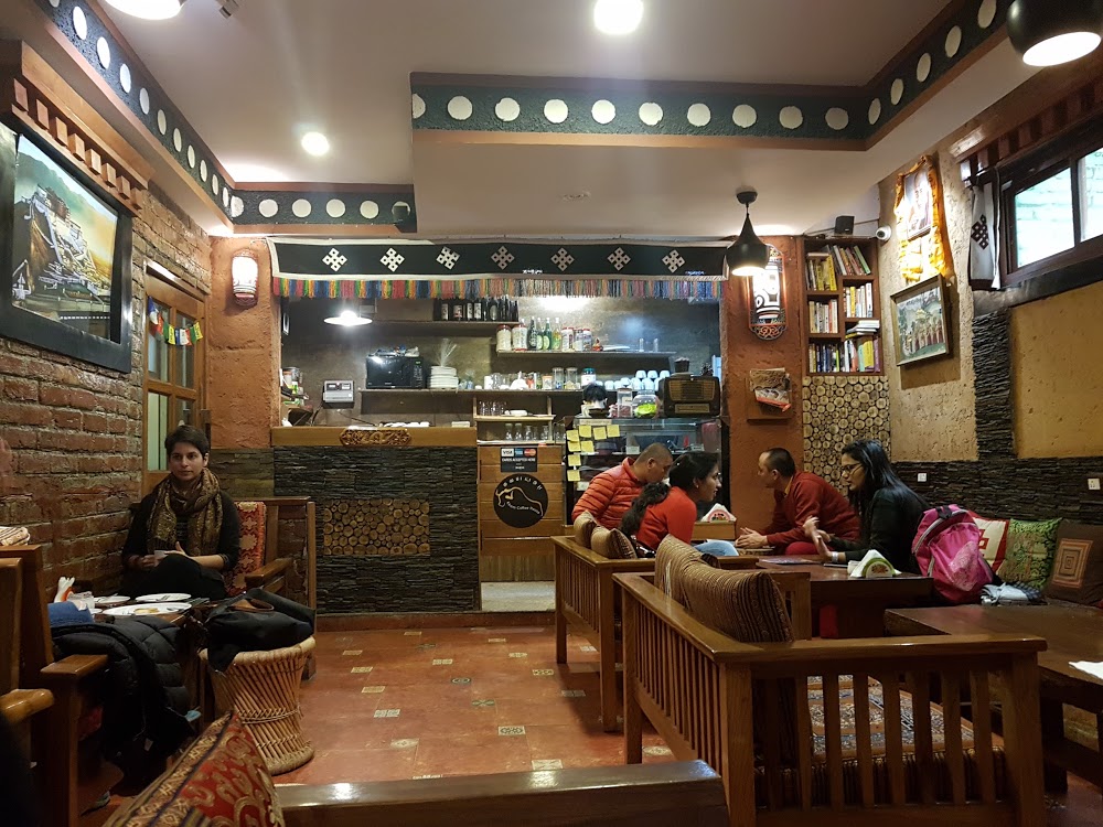 Best Cafes in Majnu ka Tilla
